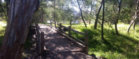 COMFORT INN COACH AND BUSHMANS - Southport Accommodation 4