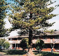 Eastern Beach Holiday Units - Accommodation Southport