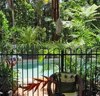 Daintree Rainforest Retreat Motel - Accommodation Southport