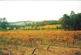  Accommodation Southport