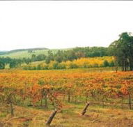 Byramgou Park - Accommodation Southport