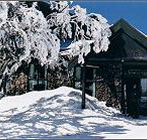 Arlberg Hotel Mt Buller - Southport Accommodation