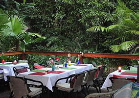 Daintree Rainforest Retreat Motel - Southport Accommodation 1