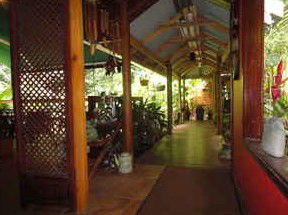 Daintree Rainforest Retreat Motel - Southport Accommodation 2