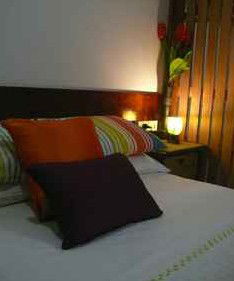 Daintree Rainforest Retreat Motel - Southport Accommodation 3