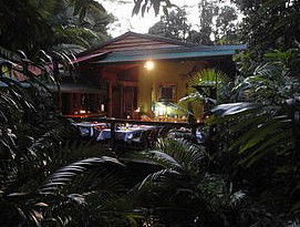 Daintree Rainforest Retreat Motel - Southport Accommodation 4