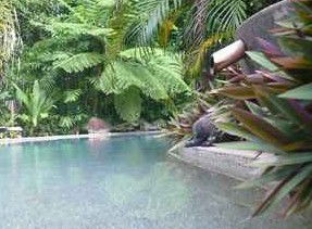Daintree Rainforest Retreat Motel - Southport Accommodation 5