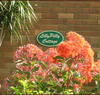 Lillypilly - Accommodation Southport