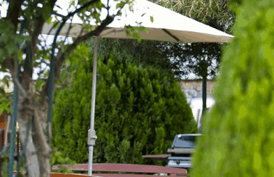 Beechworth Carriage Motor Inn - Southport Accommodation 3