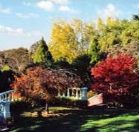 Edgelinks Bed And Breakfast - Southport Accommodation