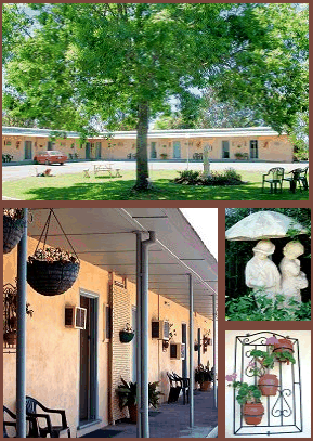 Arch Motel - Accommodation Southport 2