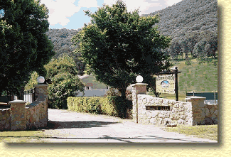 Willow Dene - Southport Accommodation 1