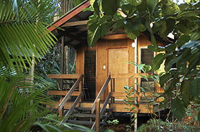 Cape Trib Beach House - Accommodation Southport 0