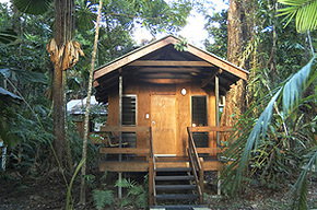 Cape Trib Beach House - Accommodation Southport 3