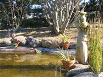 Murray Gardens Motel And Cottages - Southport Accommodation 2