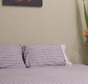 Stingo Hotel - Accommodation Southport