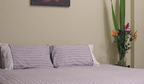 Stingo Hotel - Accommodation Southport 0