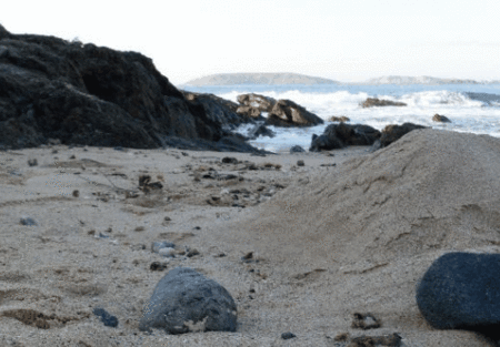 Hawaiian Sands Motor Inn - Accommodation Southport 4