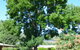 Bright Colonial Inn Motel - thumb 4