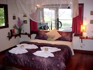 Daintree Cloud 9 - Southport Accommodation 0