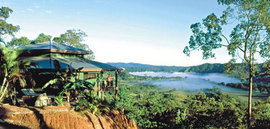 Daintree Cloud 9 - Southport Accommodation 1