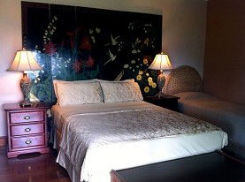 Daintree Manor - Southport Accommodation 0