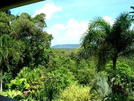 Daintree Manor - Southport Accommodation 3