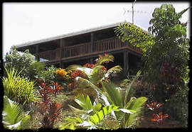 Daintree Manor - Southport Accommodation 5