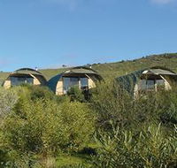 Saunders Gorge Sanctuary - Lodges - Accommodation Southport