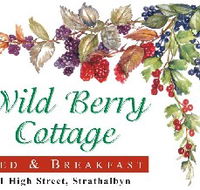 Wild Berry Cottage - Southport Accommodation