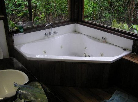 The Canopy Rainforest Tree Houses And Wildlife Sanctuary - Southport Accommodation 0