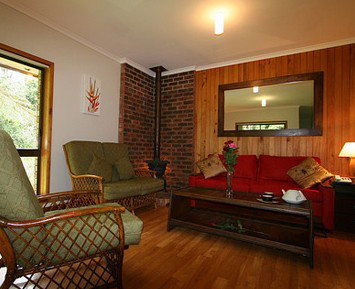 The Canopy Rainforest Tree Houses And Wildlife Sanctuary - Southport Accommodation 1