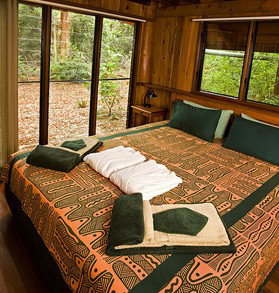 The Canopy Rainforest Tree Houses And Wildlife Sanctuary - Southport Accommodation 2
