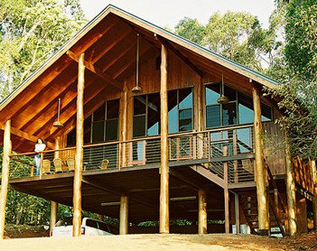 The Canopy Rainforest Tree Houses And Wildlife Sanctuary - Southport Accommodation 4