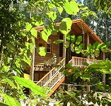 Rivers Edge Rainforest Retreat - Southport Accommodation