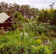 Plovers Ridge Country Retreat - Southport Accommodation
