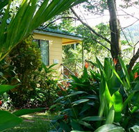Daintree Valley Haven - Southport Accommodation