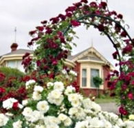 Golden Embers Apartments and B and B - Accommodation Southport