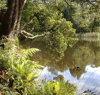 Weldborough Camping Ground - Accommodation Southport