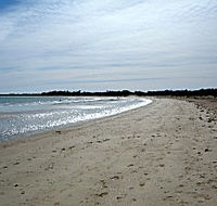 Greens Beach Caravan Park - Accommodation Southport