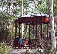 Telopea - Accommodation Southport