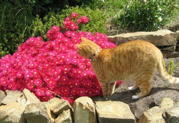 Huon Valley Bed And Breakfast - Accommodation Southport 1