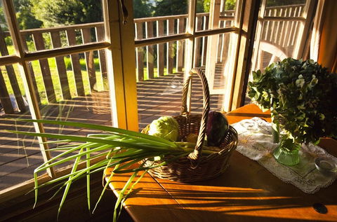 Berry Mountain Farm Mullengrove Cottage - Southport Accommodation 5