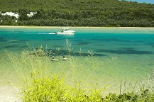 Wooli Camping and Caravan Park - Southport Accommodation