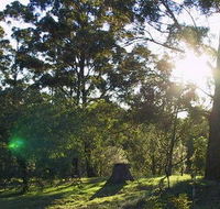 Calurla Chalets and Cottages - Accommodation Southport