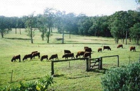 Bella Vista Cottage - Accommodation Southport 1