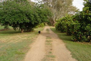 Murray Bank Holiday Units And Yabby Farm - Accommodation Southport 5