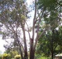 The Church House B and B - Accommodation Southport