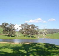 Hillview Farmstay - Accommodation Southport