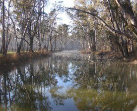 Gulpa Retreat Tourist Park - Accommodation Southport 2